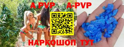 таблы Кингисепп