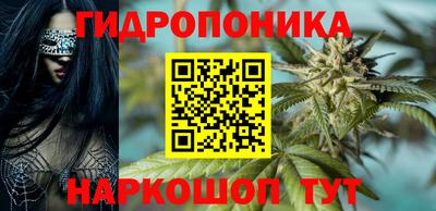 прущие грибы Кинель