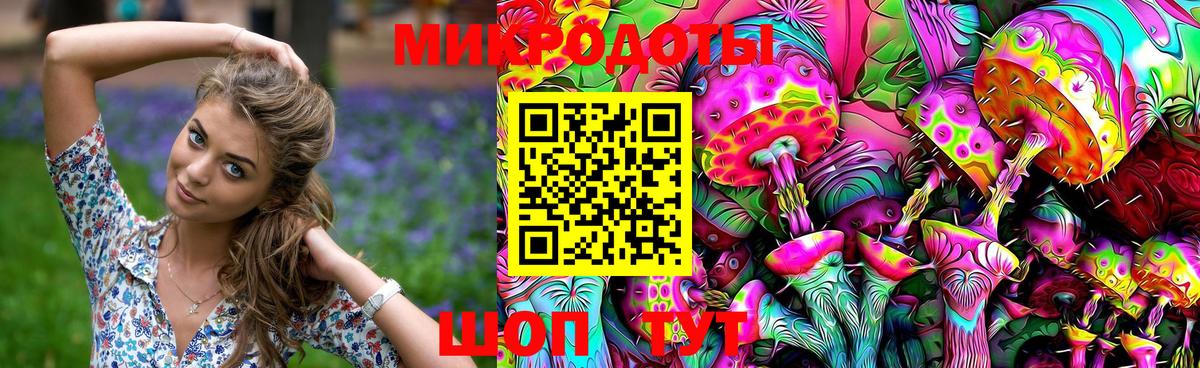 Псилоцибиновые грибы Cubensis  Вход с VPN  Златоуст  Галлюциногенные грибы Psilocybe 