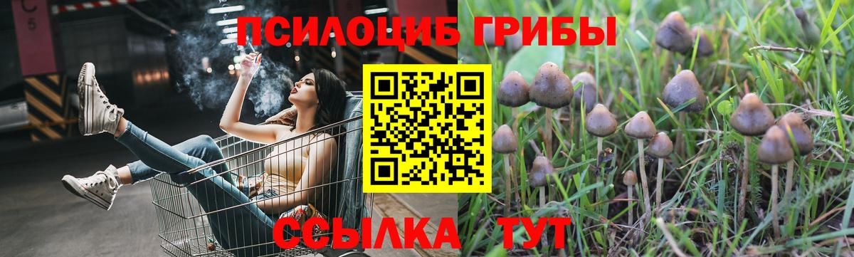 Псилоцибиновые грибы MAGIC MUSHROOMS Златоуст